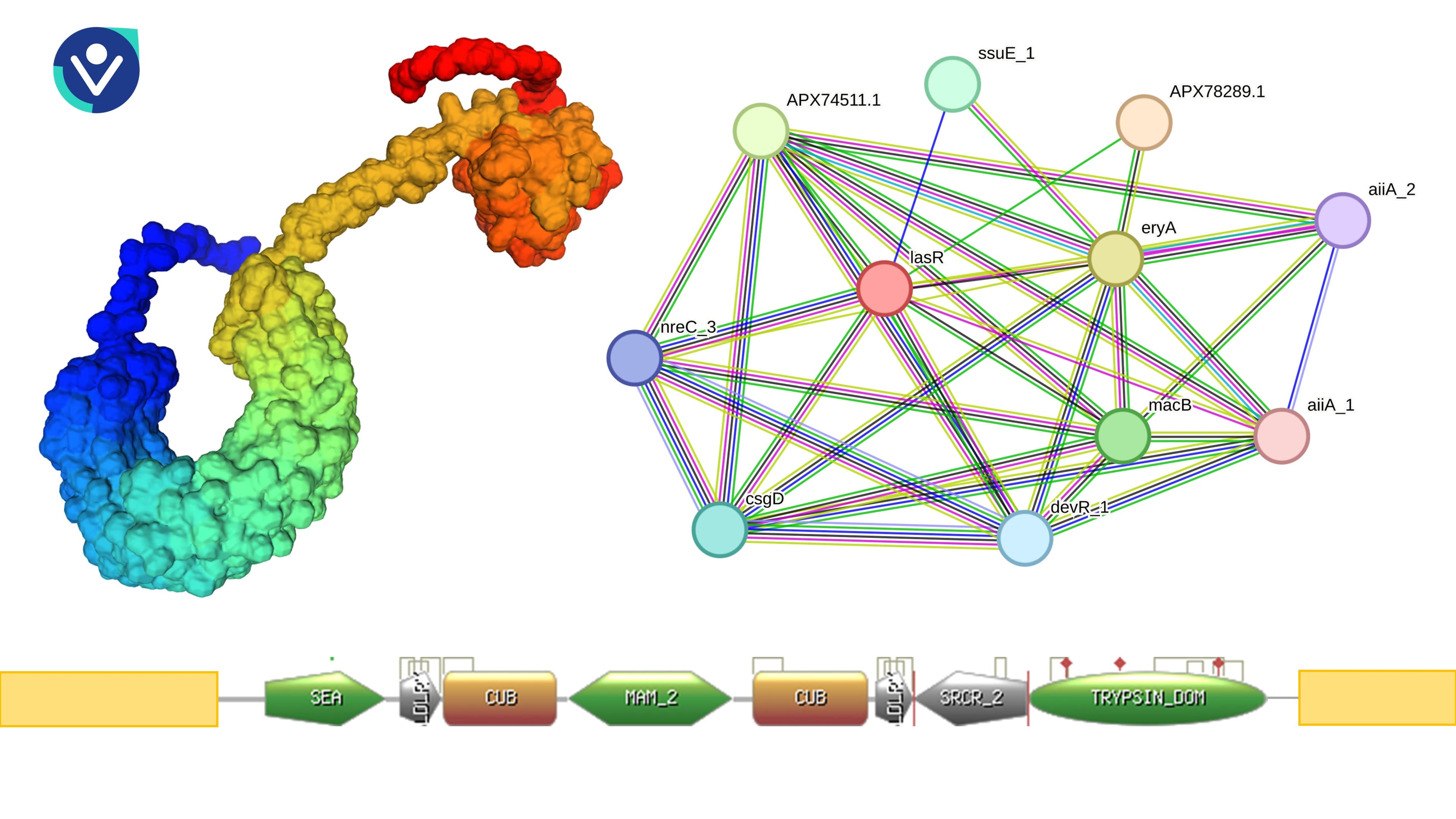 Databases for Protein Research